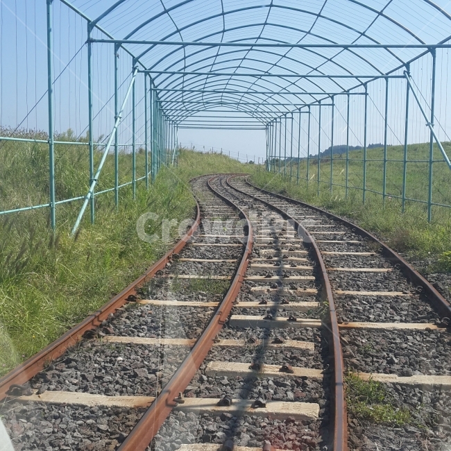 제주도,레일바이크,풍경,여행,철길,교통,교통수단,traffic,transportation,train track,기찻길,railway,철도,rail,레일
