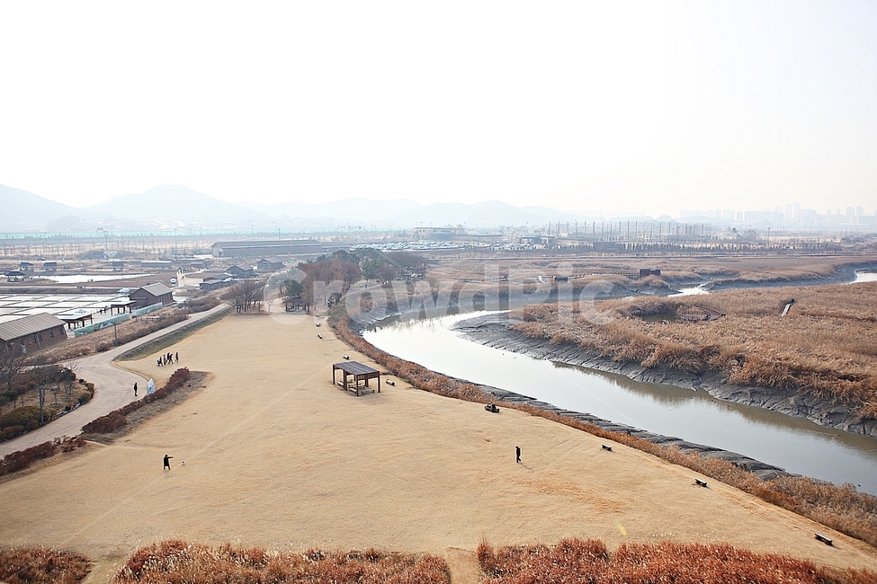 소래습지생태공원,갯골,뻘,갯벌,갈대,식믈,자연,풍경,잡초,풀,가을,바다물,생태공원,공원