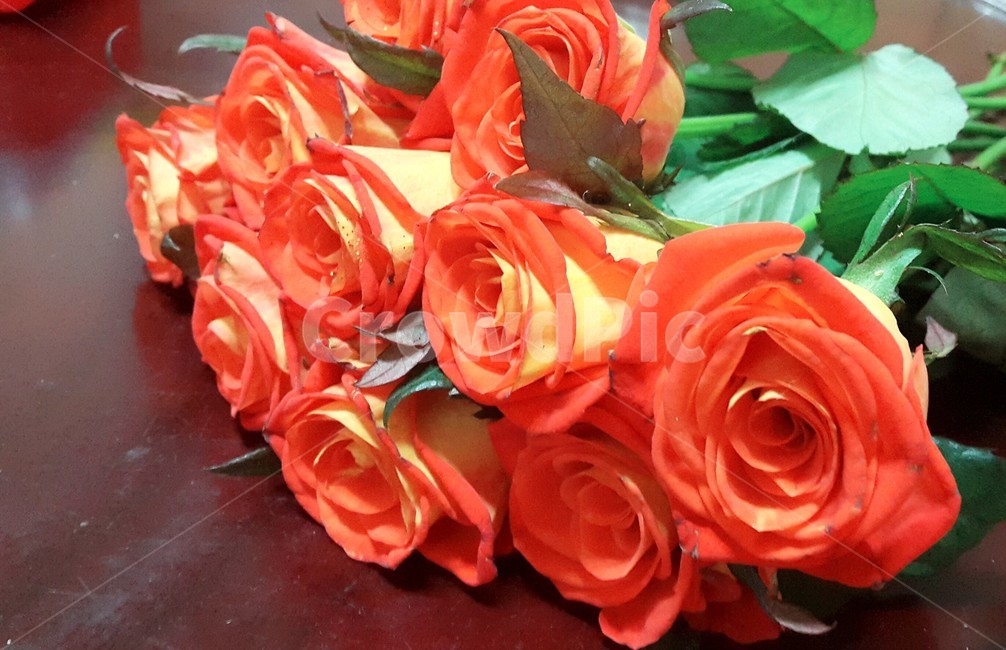 꽃,플라워,꽃다발,부케,장미,flower,bouquet,rose,이벤트,event,서프라이즈,surprise,컬러풀,colorful,생일,birthday,축하,파티,party,선물,present,따뜻한,부드러운,감성적인