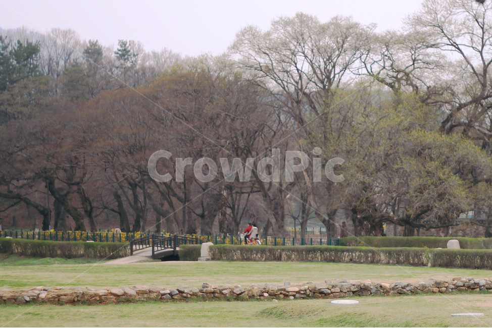 커플,자전거,자연,풍경,사랑,자연,풍경,nature,landscape,tree,나무,plant,식물