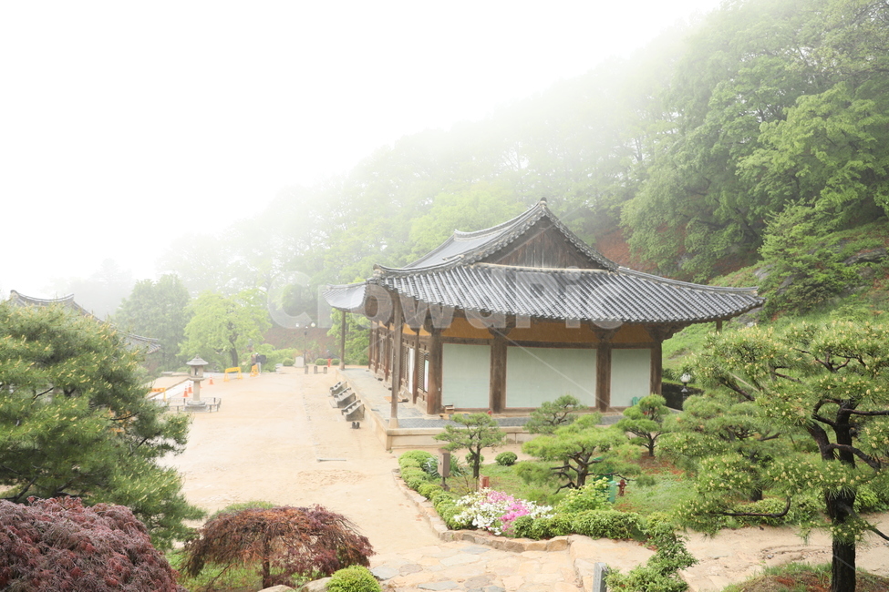 부석사,무량수전,사찰,안개,전통가옥,우중,석탑,석등,한국전통,한국문화,korean traditional,korean culture,종교,신앙,religion,belief,faith