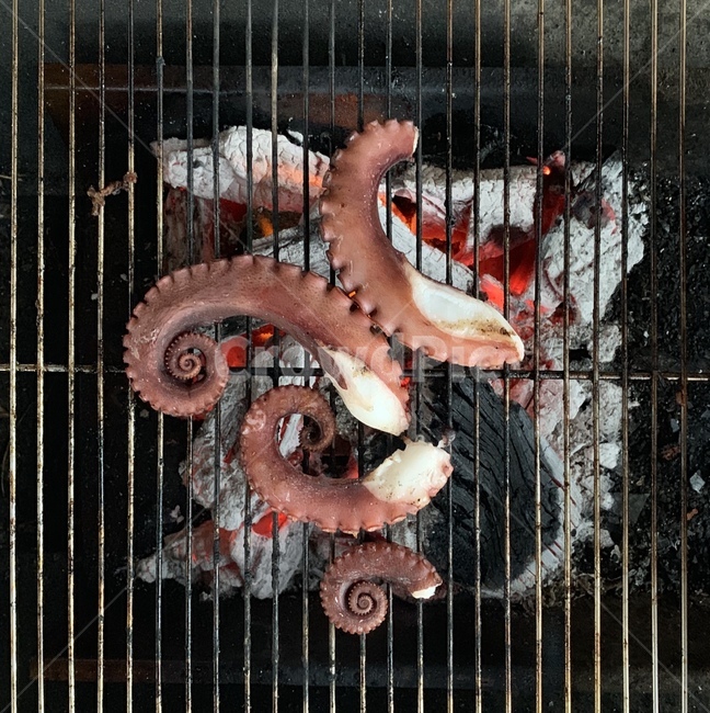 문어,오징어,그릴,숯,구이,바베큐,바비큐,직화