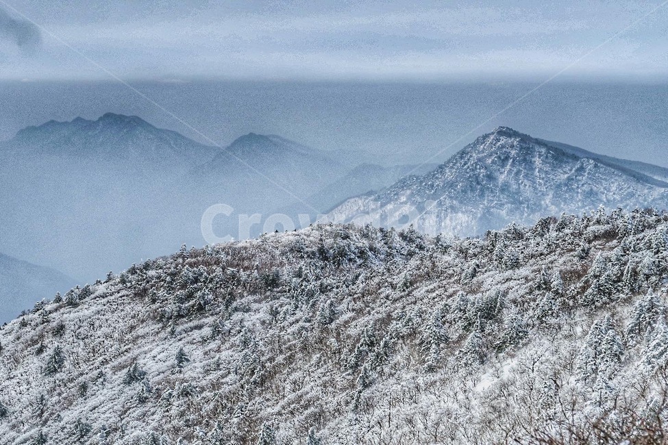 nature,자연,빙,ice,설산,태백,태백산맥,태백산,천제단,만경사,장군봉,애국심,대한민국,mountain,산,outdoors,옥외폭설눈밭발자국겨울눈하늘풍경겨울풍경여행눈길쌓이다감성힐링눈발자국흰눈설경흔적스노우snow자연언덕화이트겨울사진배경계절winterseason,겨울,계절,winter,season,자연,풍경,nature,landscape,한국자연풍경,한국자연경관,korea nature landscape