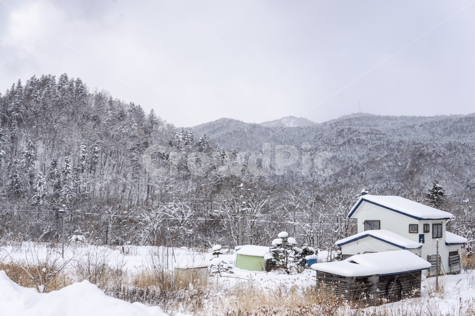 자연,nature,building,건물,눈,겨울,설경,시골,snow,winter,겨울,계절,winter,season,자연,풍경,nature,landscape