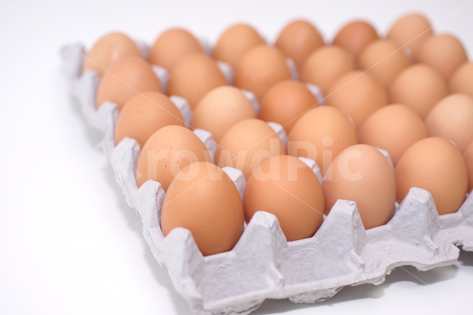 계란,달걀,음식,식재료,계란판,식료품,egg,단백질,담겨있는,보관,신선,식품,재료,오브젝트,요리,한판,흰배경,후레쉬,무농약,살충제,검사,인증,확인,생활,먹다,배경,하얀배경,음식,식재료,요리,food,cook,meal,dishes,food reserves