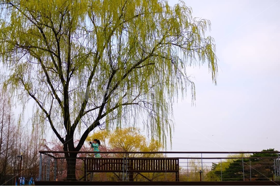 성장,아이,풍경,행복,미소,편안함,시간,식물,자연,plants,nature,나무,trees,wood,사람,인물,인간,human,person,어린이,어린아이,child,children,kid