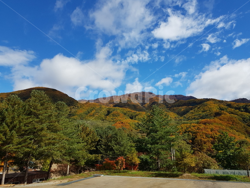 nature,자연,outdoors,옥외,하늘,단풍,가을,계절,fall,autumn,season,자연,풍경,nature,landscape