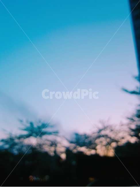 하늘,노을,나무,차분한,블러,자연,풍경,nature,landscape