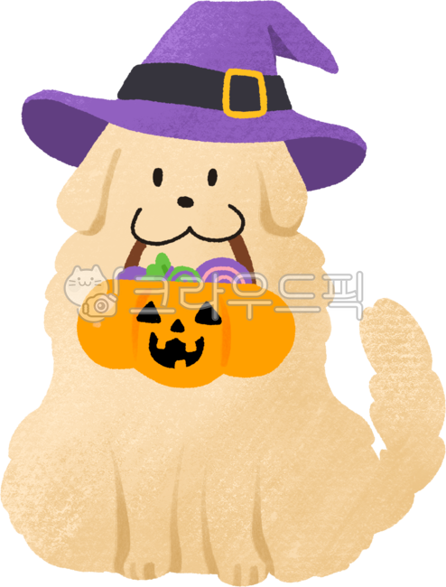 할로윈,할로윈파티,할로윈코스튬,캐릭터,마녀모자,할로윈소품,할로윈강아지,강아지,동물,개,반려동물,반려견,할로윈사탕,사탕,강아지캐릭터,골든리트리버