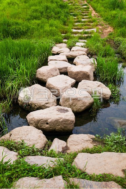 징검다리,돌다리,개울,공원,돌,바위,실외,자연,물