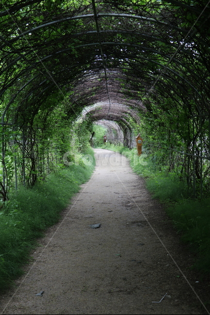 초록,터널,오월,신록,비오는날,길,둘레길,자연,풍경,nature,landscape,arbour,정자,outdoors,옥외,garden,정원