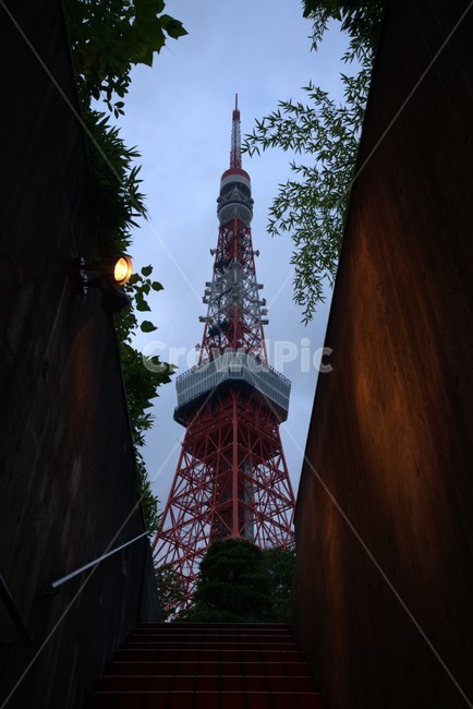 architecture,건축물,building,건물,tower,탑,steeple,뾰족한탑,spire,첨탑,도쿄타워,일본,도쿄