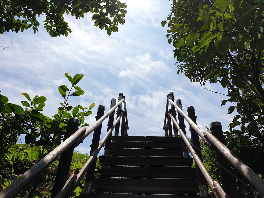 칠갑산,칠갑산정상,칠갑산등산,숲,산,여름산,청초,나무,우거진숲,계단,하늘,맑은날