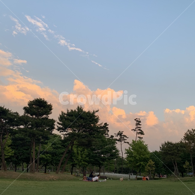 잔디,피크닉,자연,grass,nature