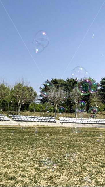 outdoors,옥외,비눗방울,봄,sky,하늘,야외