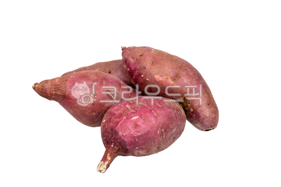 밤고구마,고구마,자색고구마,채소,식재료,누끼,뿌리채소,농업,먹거리,음식,purple,sweetpotato,vegetable,food