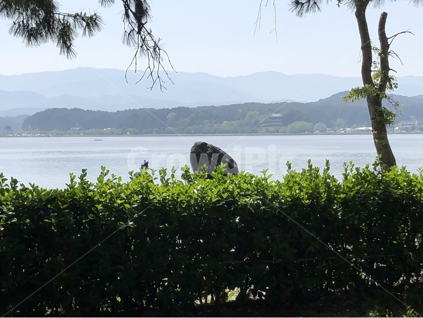봄,풍경,고궁,자연,한국,자연,풍경,nature,landscape,한국자연풍경,한국자연경관,korea nature landscape,outdoors,옥외,land,땅