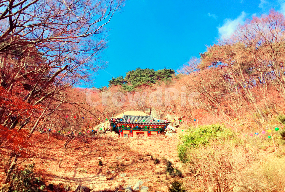 역사,경주,석굴암,건축물,자연,가을,계절,fall,autumn,season,자연,풍경,nature,landscape,한국자연풍경,한국자연경관,korea nature landscape,plant,식물,tree,나무
