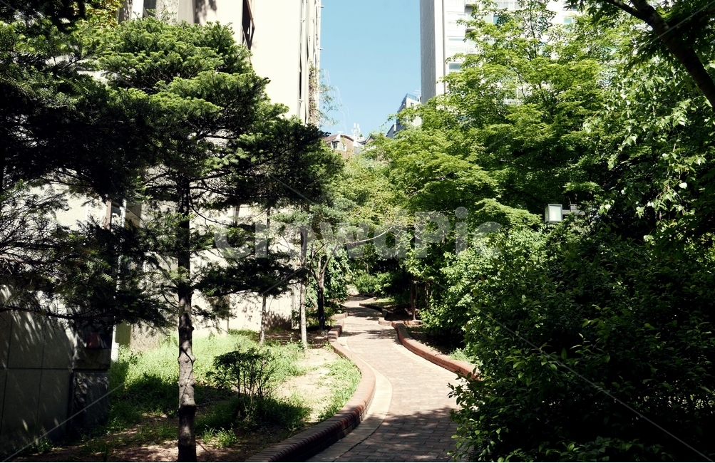 옥외,garden,정원,아파트,산책