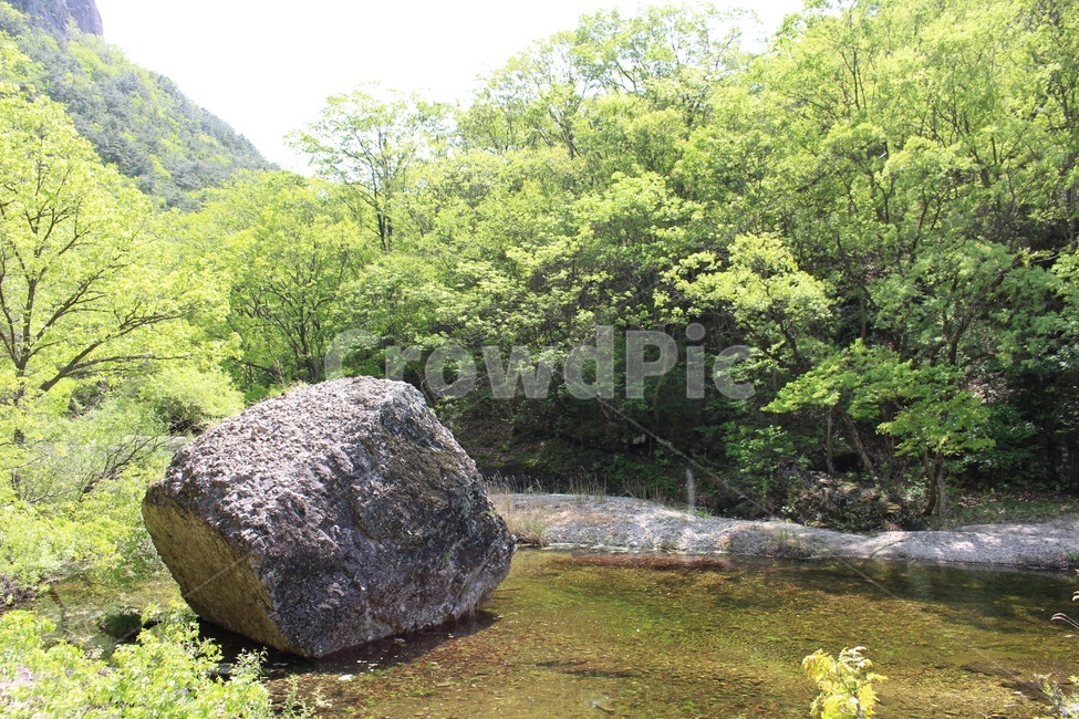 바위,큰바위,돌맹이,강,시냇물,산,자연,나무,봄,여름,시원한,푸른,녹색,green,rock,water,물,mountain,nature,spring,summer,fresh,cold,cool,자연,풍경,nature,landscape,록