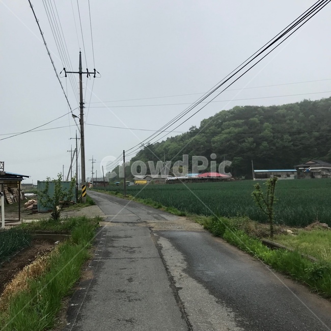 농촌,시골,밭,시골길,시골밭,비온후,전봇대,전깃줄,시골,마을,풍경,landscape,country,rural,town