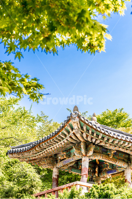사찰,풍경,전통,선,무늬,한국전통,한국문화,korean traditional,korean culture,종교,신앙,religion,belief,faith,건축물,건물외관,exterior,building,structure,architecture,construction