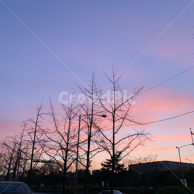 하늘,노을,해질녘,sky,dawn,tree,나무,나뭇가지,거리,감성,가을,겨울,나무가지,감성사진,풍경,scenery,자연,nature