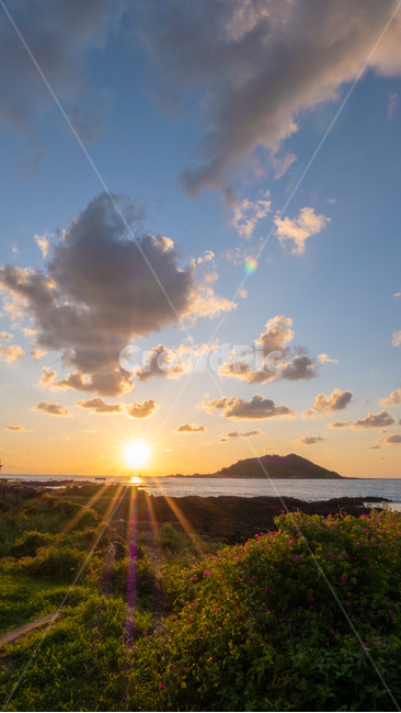 flare,플레어,light,빛,nature,자연,햇빛,sunlight,옥외,outdoors,해변,해질녘,노을,sunset,jeju,제주도,제주,sky,자연,풍경,nature,landscape