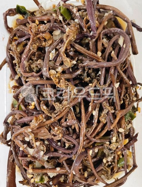 고사리,고사리볶음,고사리나물,고사리나물볶음,나물볶음,볶음,나물,음식,요리,식사,food,dish,cook,meal