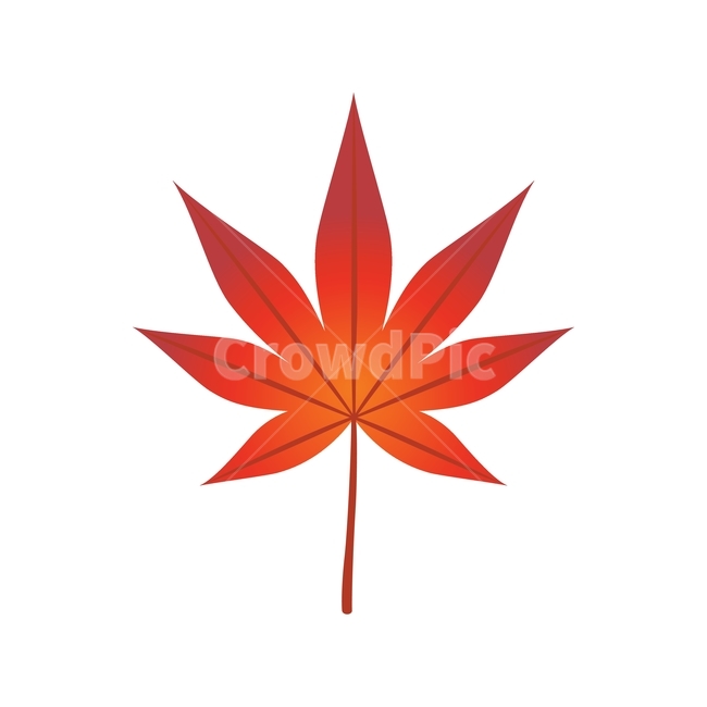 단풍,단풍잎,나뭇잎,가을,잎,낙엽,식물,자연,계절,빨강,autumn,leaf,leaves,maple,fall,디자인,나무,일러스트,tree,mapleleaf,season,plant,red,design,illustration,graphic,vector,가을,계절,fall,autumn,season,그래픽,일러스트레이션,graphic,illustration