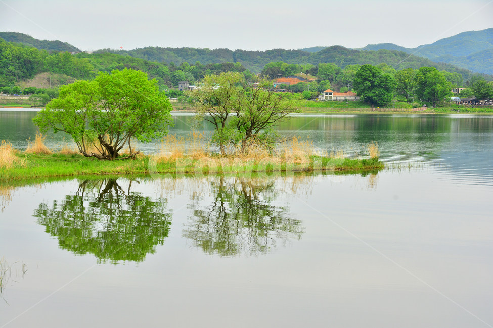 강변,힐링,잔잔한,물결,호숫가,호수,강,나무,초록,신록,싱그러운,전원,healing,natural,riverside,river,plant,water,outdoor,시즌,계절,야외,휴식,쉼터,명상,자연,풍경,평온,평화로운,청정,맑은,물가,그림자,반영,비침,수면,자연,풍경,nature,landscape,한국자연풍경,한국자연경관,korea nature landscape,물,outdoors,옥외