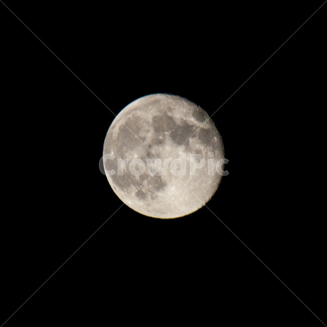 달,moon,보름달,밤,크레이터