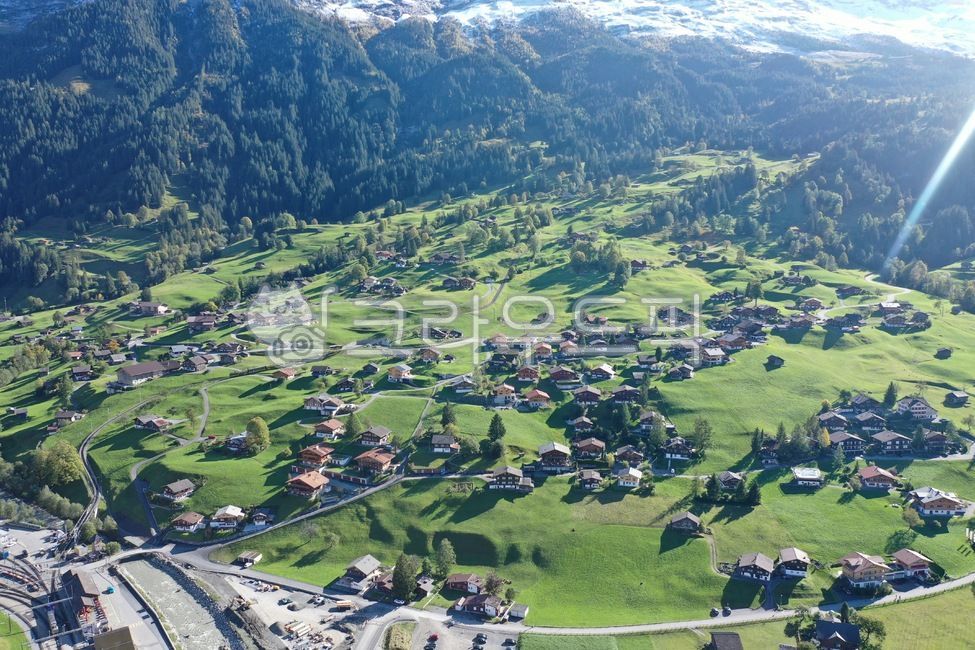 forest village,Grindelwald,drone photography,landscape,Swiss village