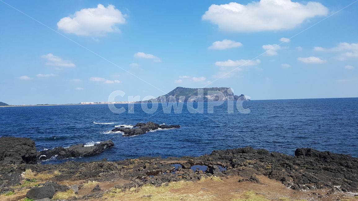 제주도,바다,섬,수평선,배경