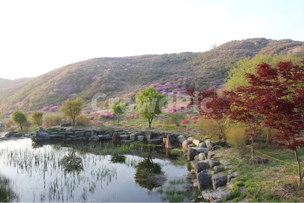 경치,자연,풍경,하늘,나무,봄,계절,spring,season,자연,풍경,nature,landscape,한국자연풍경,한국자연경관,korea nature landscape,water,물,outdoors,옥외