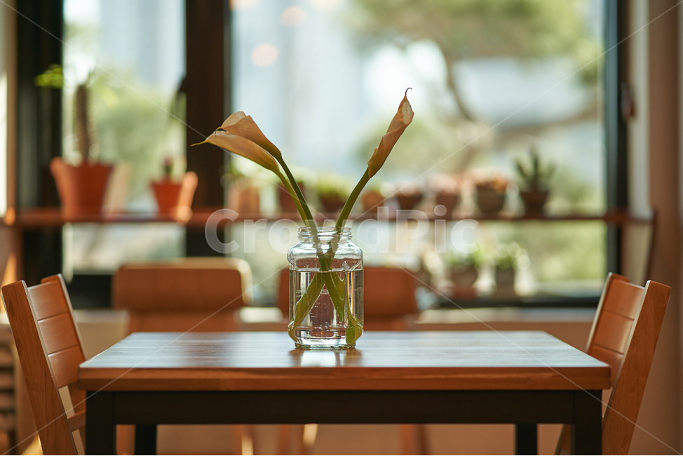 식물,화분,plant,botanical,화병,실내용화초,화분,화초,house plant