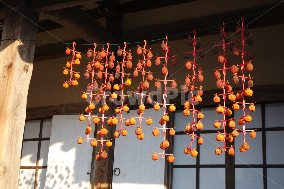 한옥,고택,곶감,한국,한국전통,풍경,한국문화,korea,한국전통,한국문화,korean traditional,korean culture,과일,열매,fruit