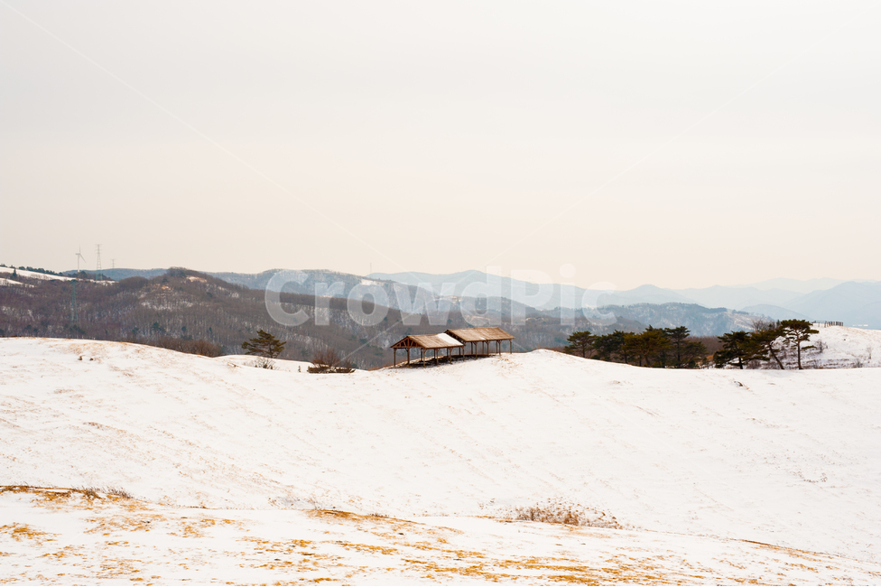 평창,대관령,삼양목장,오두막,눈,산,자연,풍경,겨울,계절,winter,season,자연,풍경,nature,landscape,한국자연풍경,한국자연경관,korea nature landscape,soil,흙,sand,모래,outdoors,옥외,dune,모래 언덕