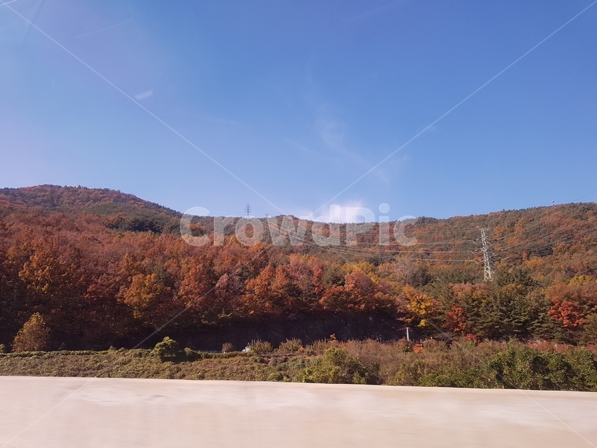 단풍,산,가을,하늘,가을산,가을,계절,fall,autumn,season,자연,풍경,nature,landscape,outdoors,옥외
