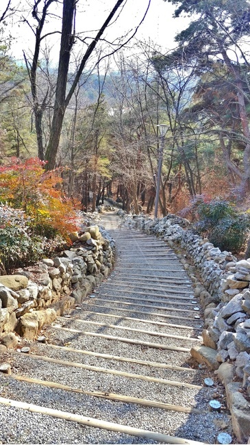 산책로,산책,공원,걷기,계단,겨울,겨울길,겨울공원,겨울산책,산길,오르막,자연,숲,길,소나무,돌담,자갈,자연,풍경,nature,landscape,path,통로,walkway,보도