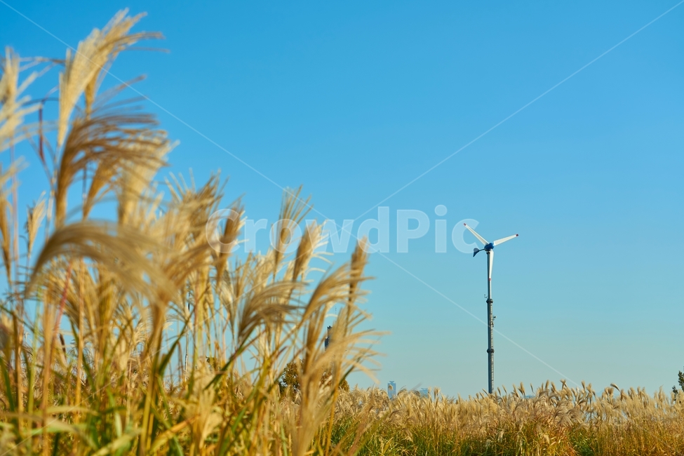 하늘공원,억새,노을,저녁,하늘,풍력발전기,바람개비,오브젝트,가을,계절,fall,autumn,season,engine,엔진,machine,기계,motor,모터,turbine,터빈,wind turbine,풍력 터빈
