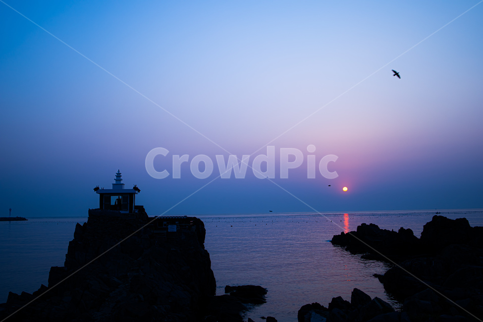 nature,자연,outdoors,옥외,bird,새,animal,동물,사찰,절,일출,sunset,blue,red,sun,태양,파랑,바다,sea,절벽,자연,풍경,nature,landscape