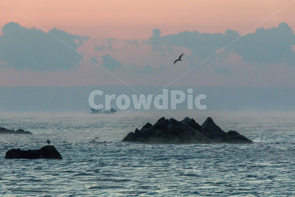 여명,일출,해무,문무대왕릉일출,landscape,adventure,모험,leisure activities,레저 활동,bird,새,animal,동물,land,땅,outdoors,옥외,nature,자연,water,물,sea,바다,ocean,대양