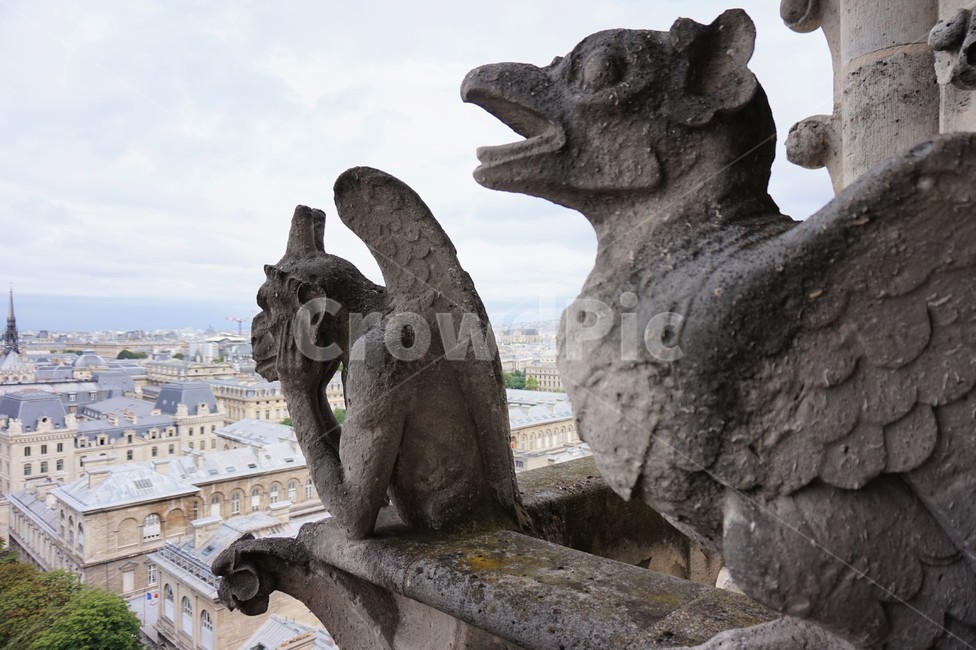 파리,노틀담대성당,가고일상,paris,notredame,gargoyles,해외,외국,세계,foreign,oversea,world,조각상,동상,석상,조형물,statue,bronze statue,stone statue,건축물,건물외관,exterior,building,structure,architecture,construction
