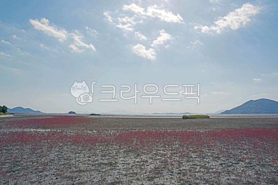 Hamcho,Suncheon Bay Wetland,coastal wetlands,Suncheon Bay Tidal Flat,Suncheon Bay,foreshore,world natural heritage