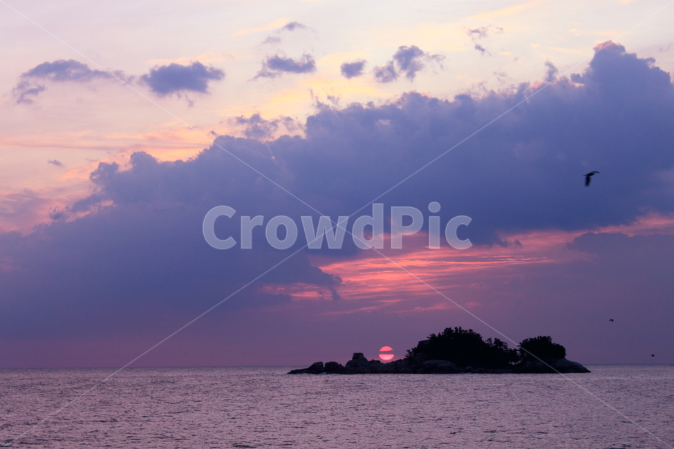 바다,해돋이,여명,구름,붉은,빛,자연,sea,daybreak,dawn,새벽,갈매기,섬