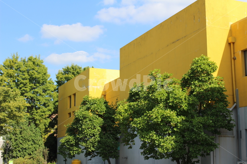 노란색,건물,하늘,풍경,여름,건축물,건물외관,exterior,building,structure,architecture,construction