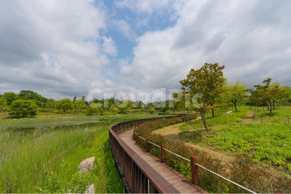 산책로,풍경,landscape,하늘,구름,나무,tree,cloud,자연,풍경,nature,landscape,한국자연풍경,한국자연경관,korea nature landscape,boardwalk,bridge,다리,building,건물