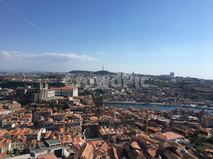 포르투,포르투갈,지붕,붉은지붕,포르투도심,유럽,porto,portugal,roof,redroof,europe,cherryblossom,spring