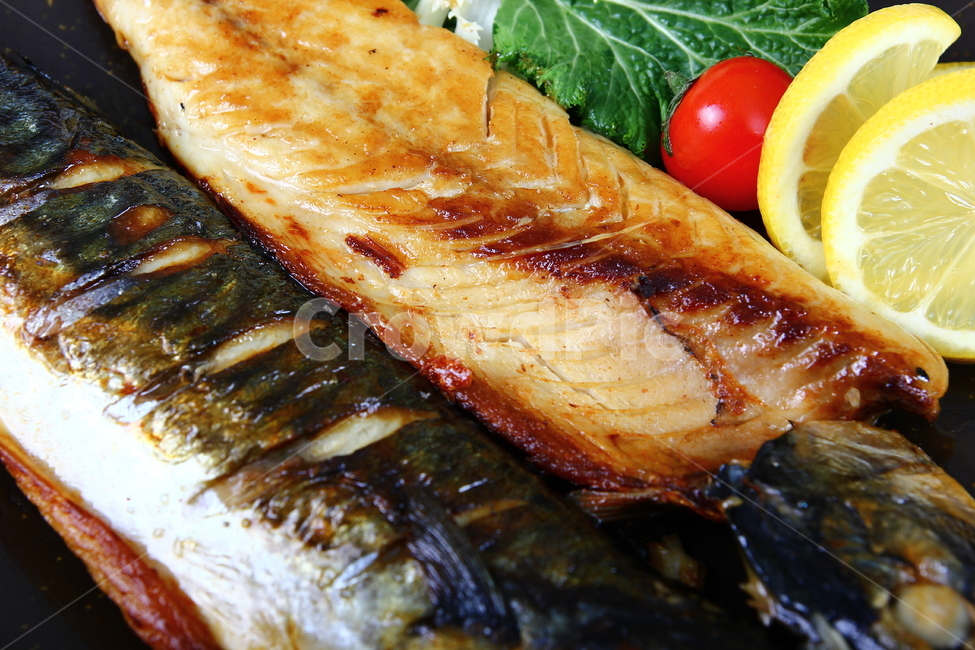 고등어,생선,등푸른생선,구이,생선구이,해산물,음식,식품,신선,싱싱,mackerel,fish,grill,seafood,food,fresh,crispy,음식,식재료,요리,food,cook,meal,dishes,food reserves,수산물,해산물,fishery products,seafood